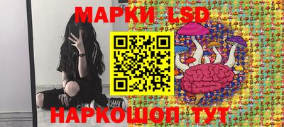 крисы Будённовск