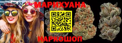 крисы Будённовск