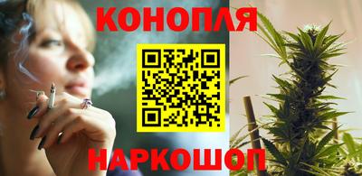 крисы Будённовск