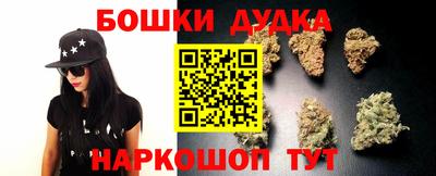 крисы Будённовск