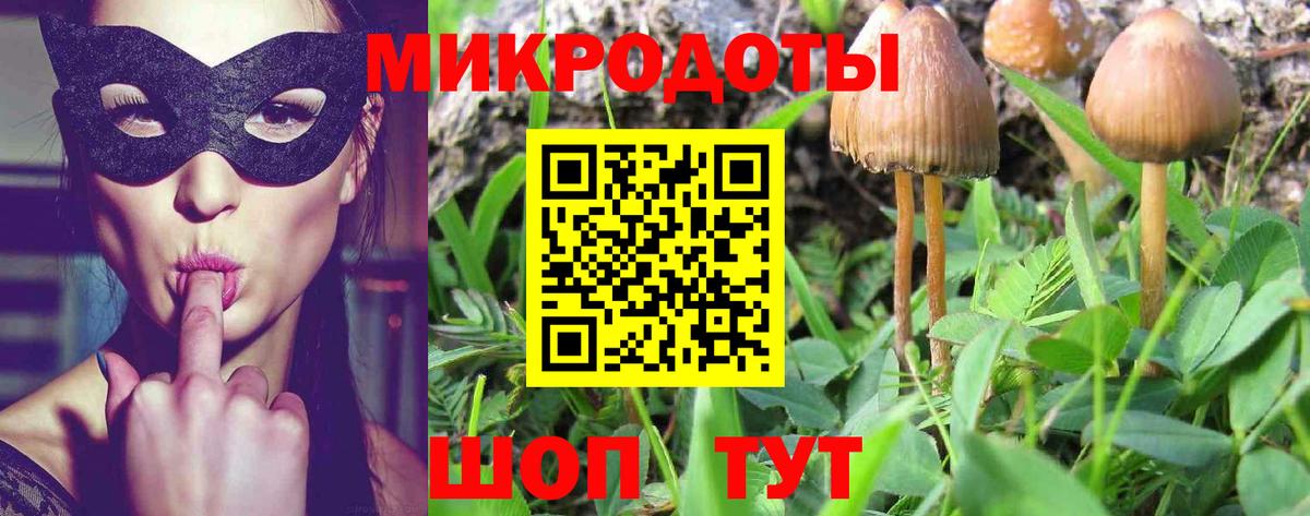 Рассказово  Галлюциногенные грибы Psilocybe  Вход с VPN 